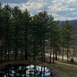 Meet your Posher, Suzanne of PinestonePond